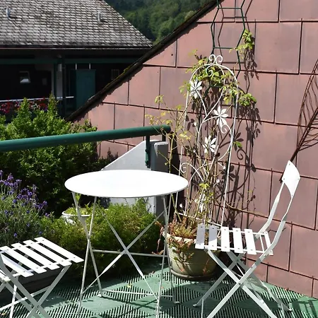 Apartment Erholung Im Terrassenpark Ferienwohnung Schwarzwald