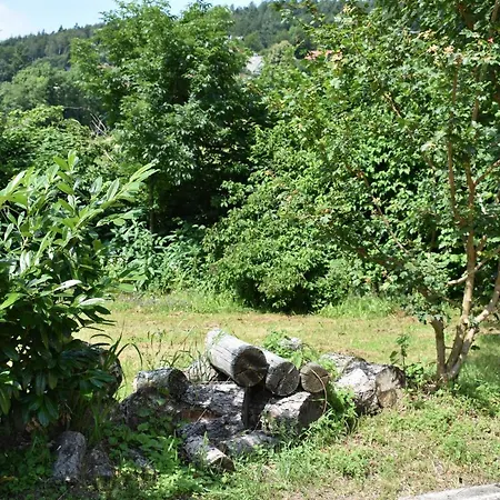 Apartment Erholung Im Terrassenpark Ferienwohnung Schwarzwald