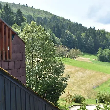 Apartment Erholung Im Terrassenpark Ferienwohnung Schwarzwald *