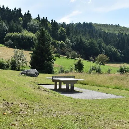 Erholung Im Terrassenpark Ferienwohnung Schwarzwald * Sasbachwalden