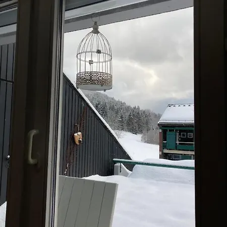 Erholung Im Terrassenpark Ferienwohnung Schwarzwald
