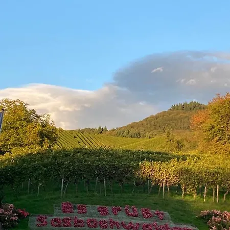 Apartment Erholung Im Terrassenpark Ferienwohnung Schwarzwald *
